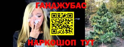 индика Свободный