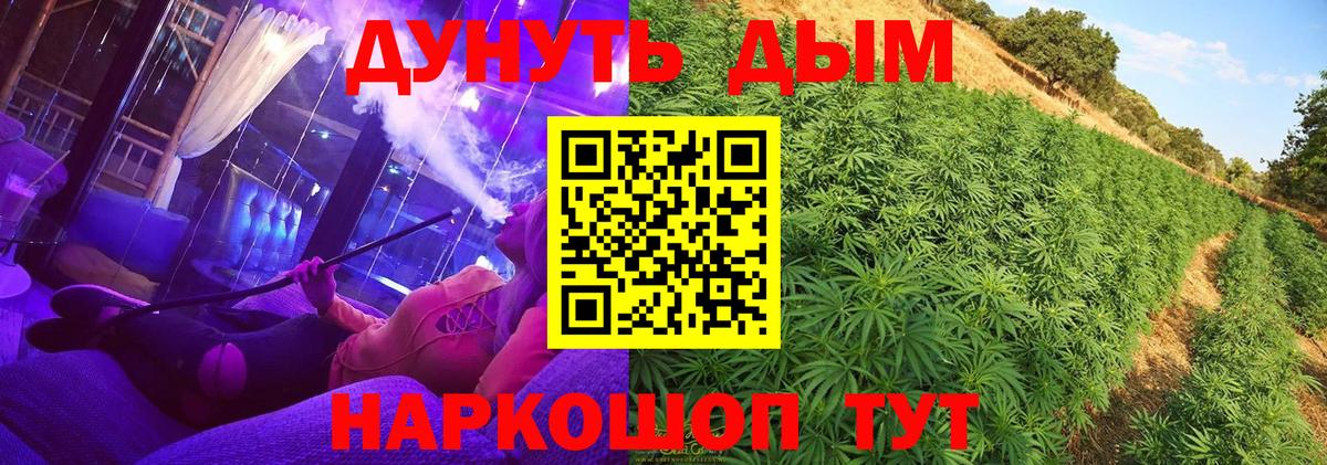 Конопля LSD WEED  Вход с VPN  Новозыбков  Канабис THC 21%  Бошки марихуана планчик 